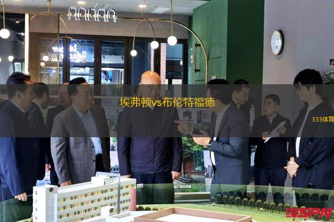 埃弗顿vs布伦特福德(埃弗顿主场迎战布伦特福德，争夺关键三分)