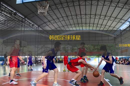 韩国足球球星(韩国足球巨星的新标题可简洁地表达为：韩国足球明星)