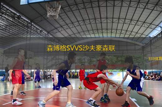 森博格SVVS沙夫豪森联